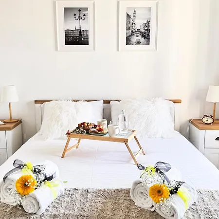 Apartment Venezia Dream Mestre